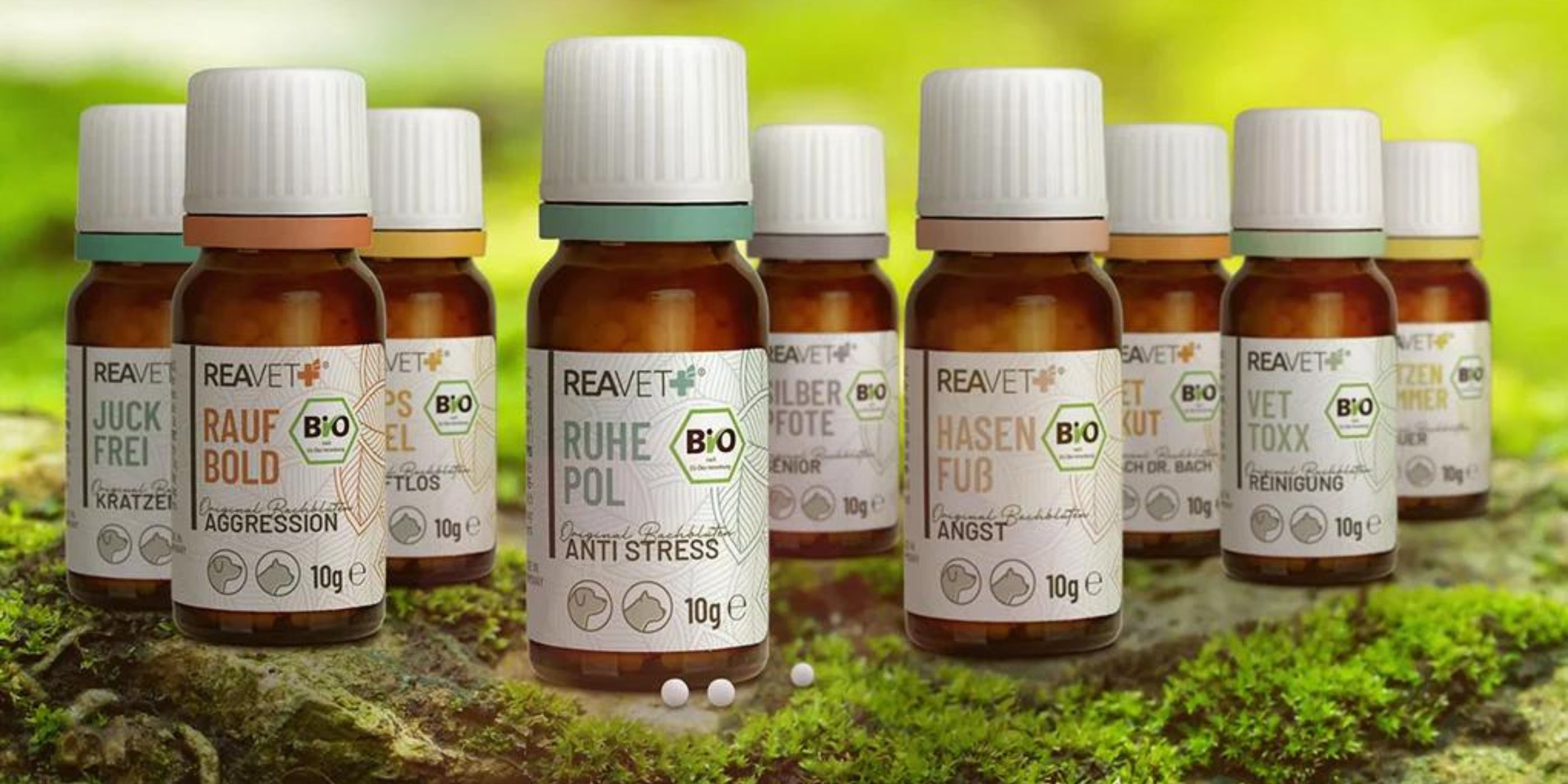 Bachblüten & Beruhigung