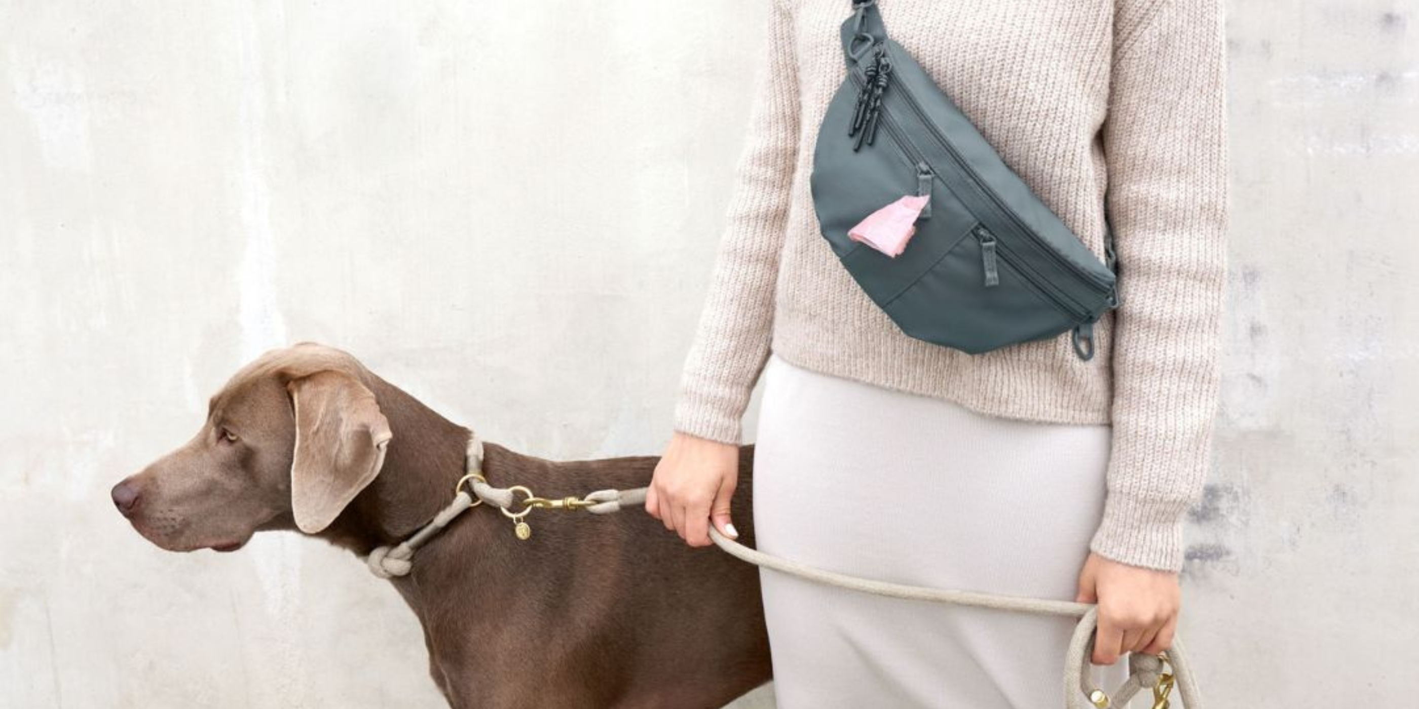 Alles für die nächste Gassi-Runde