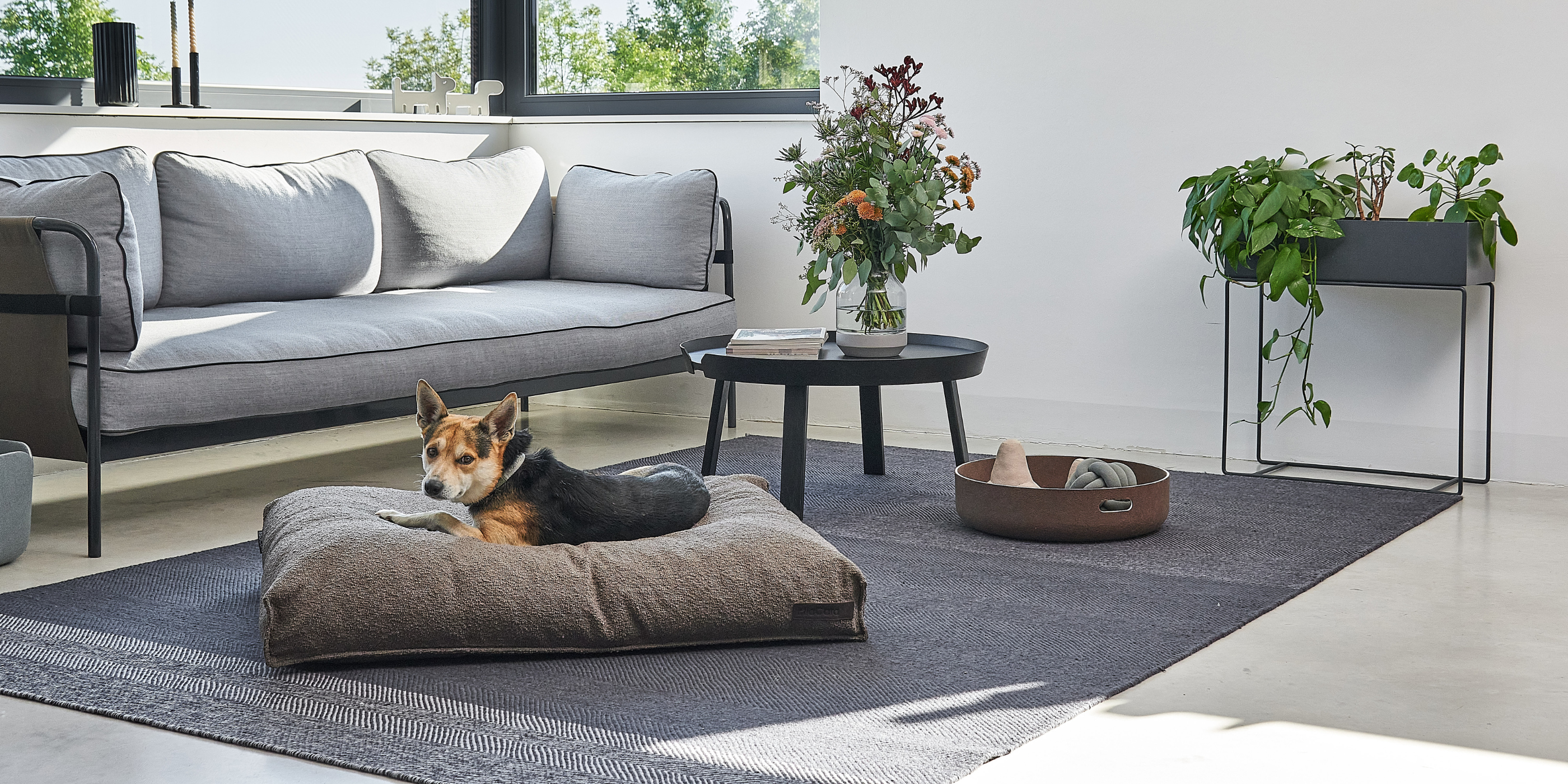 Hundekissen & Poufs