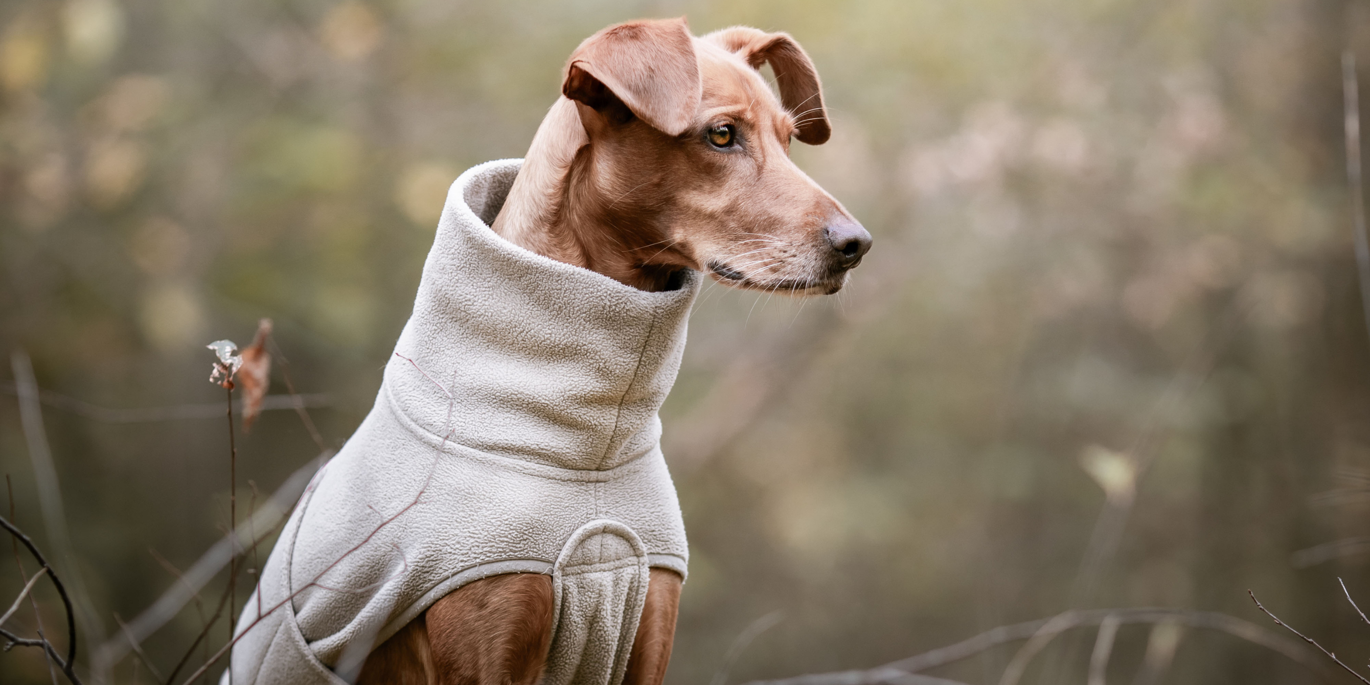 Hundepullover