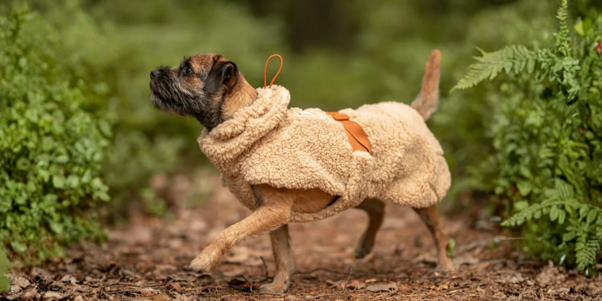 Hundepullover