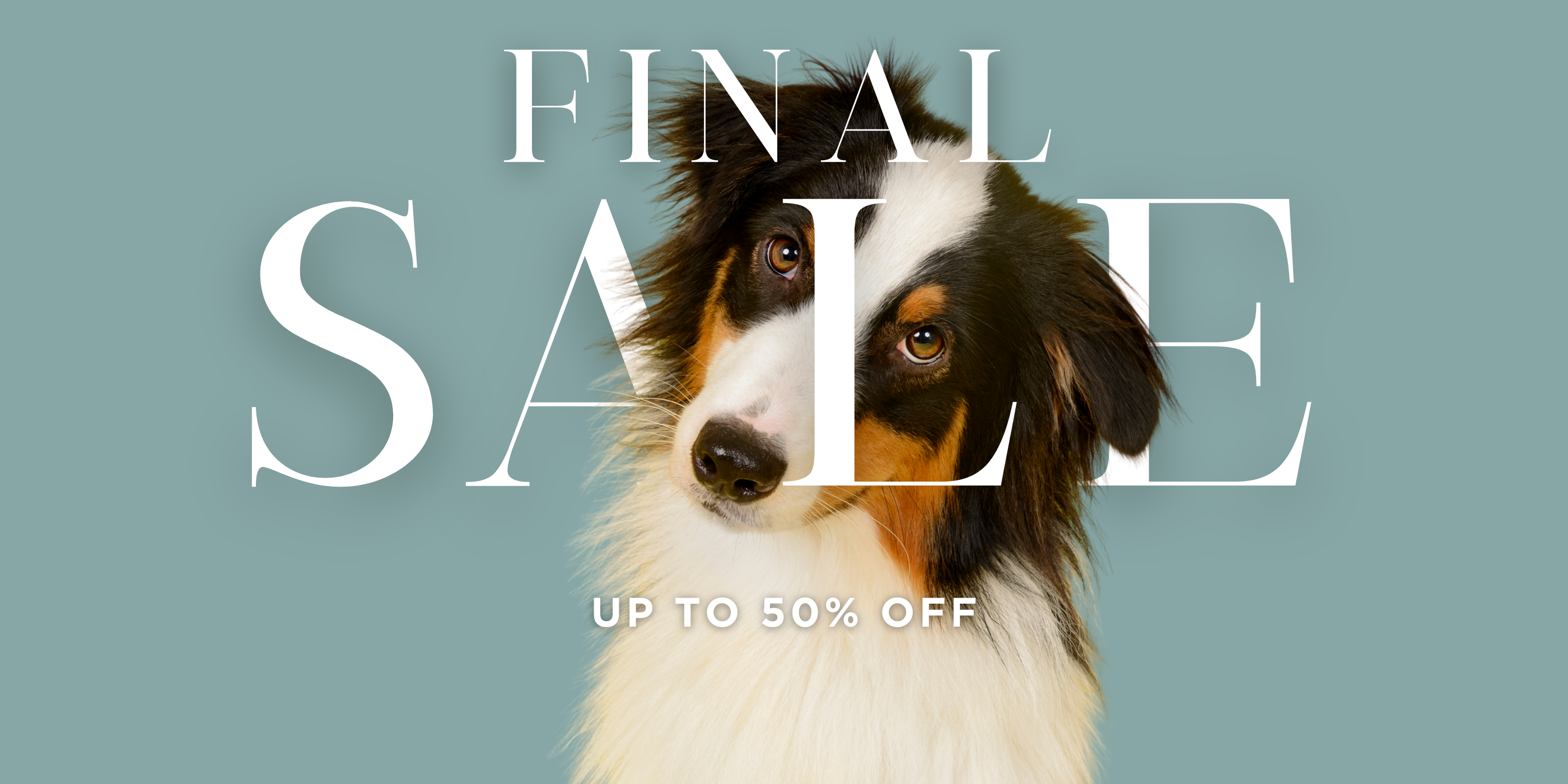 Sale