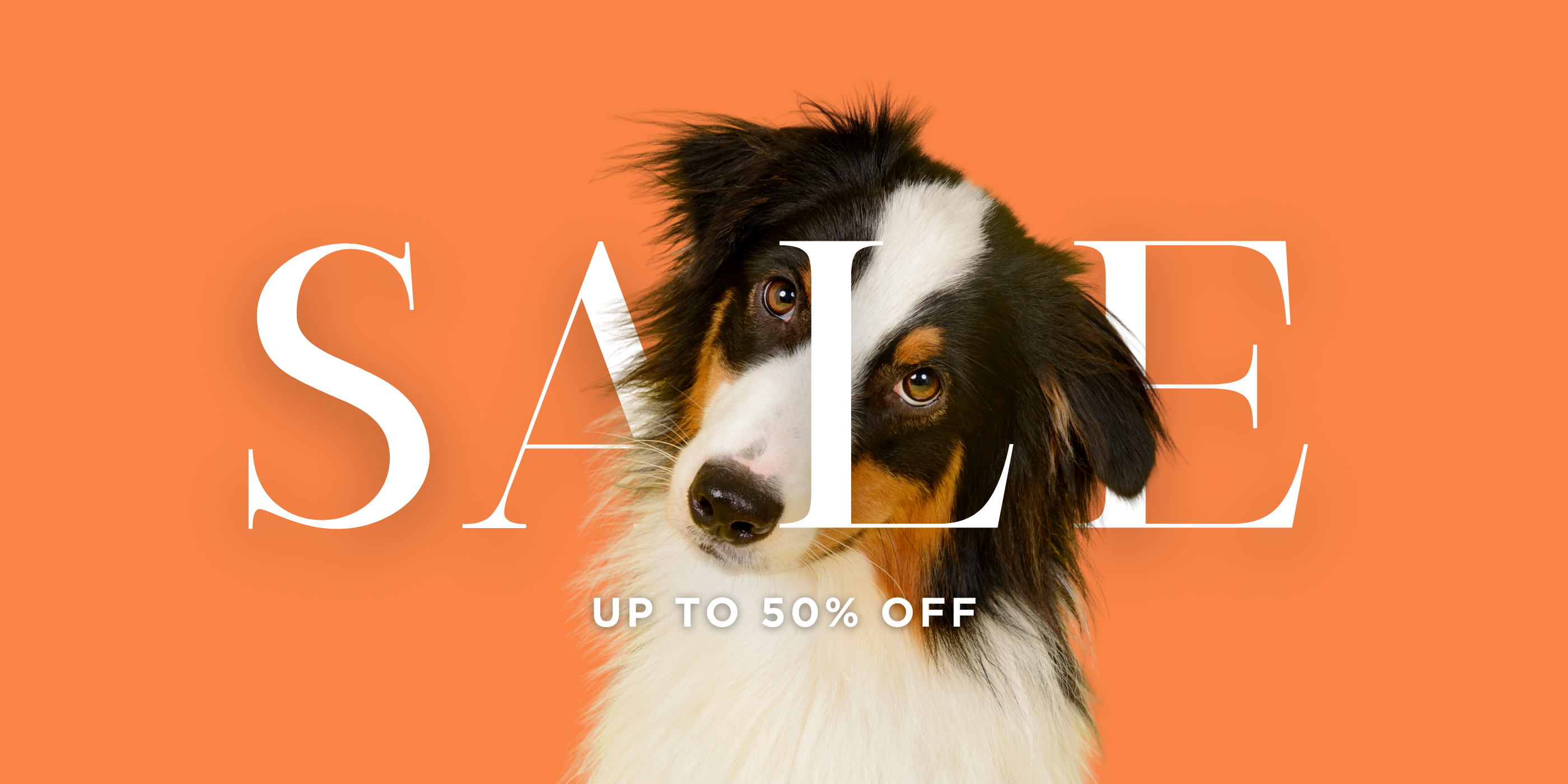 Sale