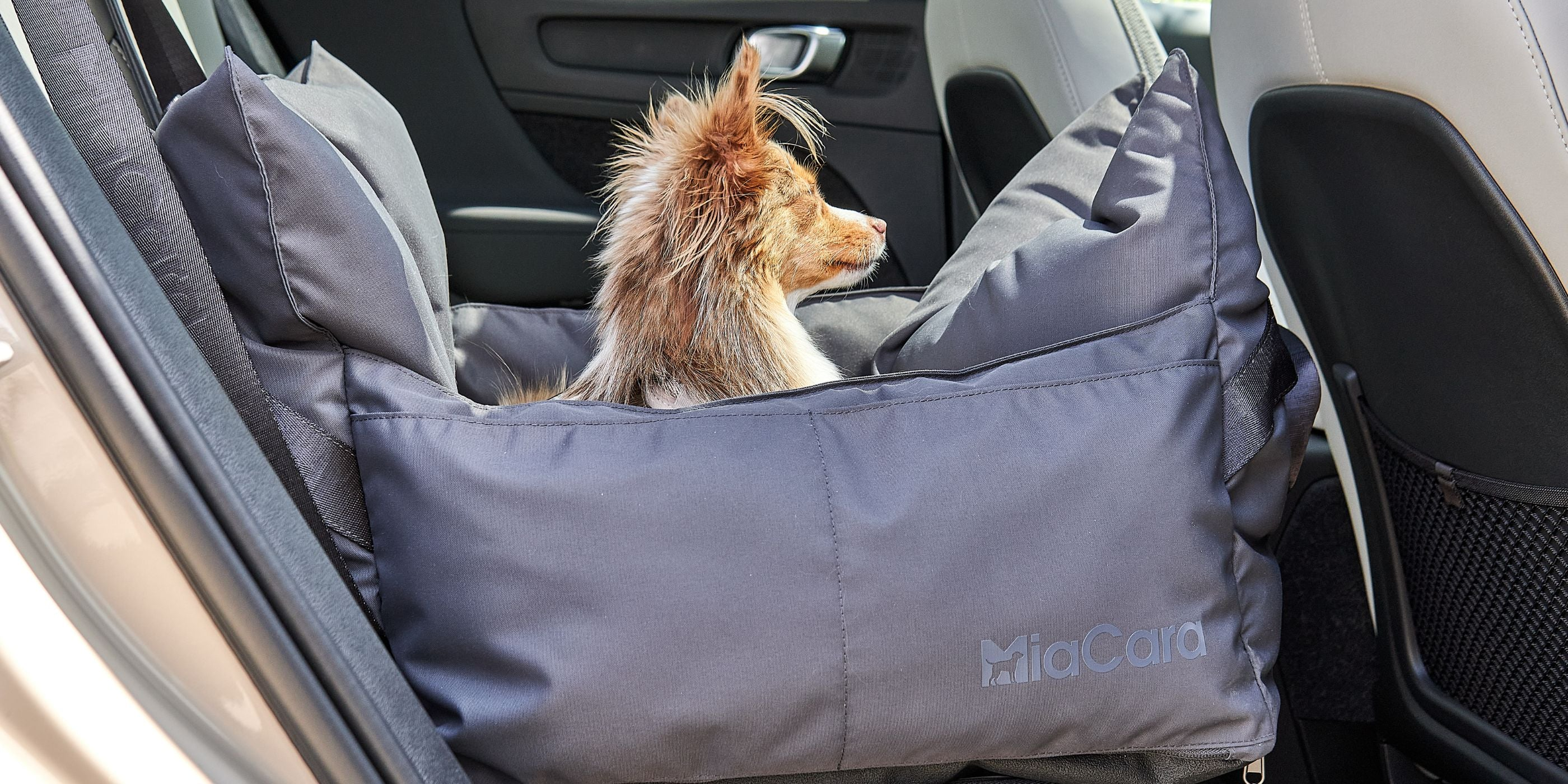 Transport und Sicherheit