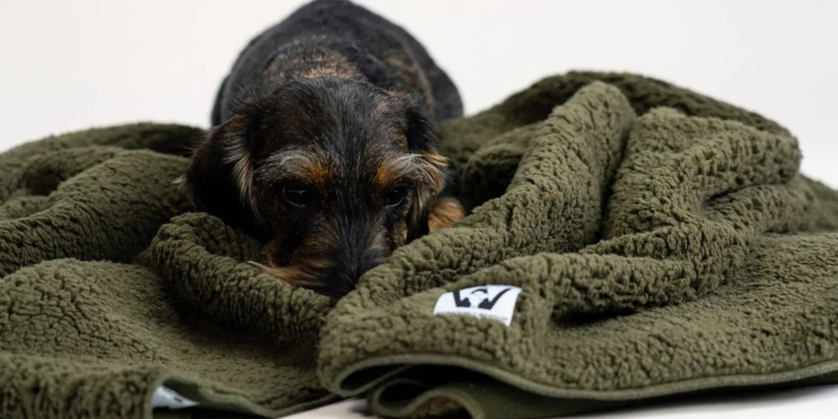 Hundedecken