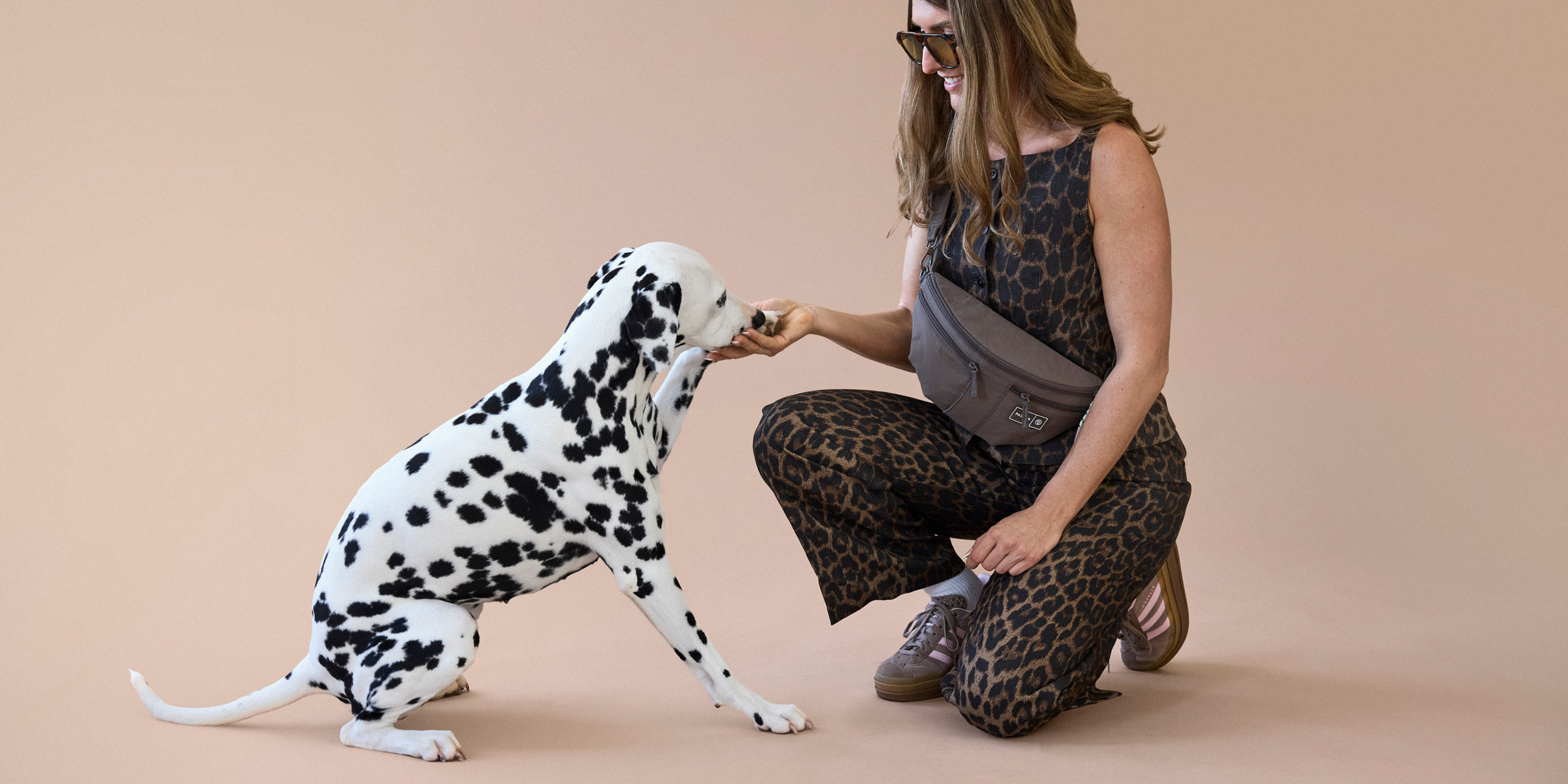 Leckerlibeutel, Hundedummies & Dummytraining