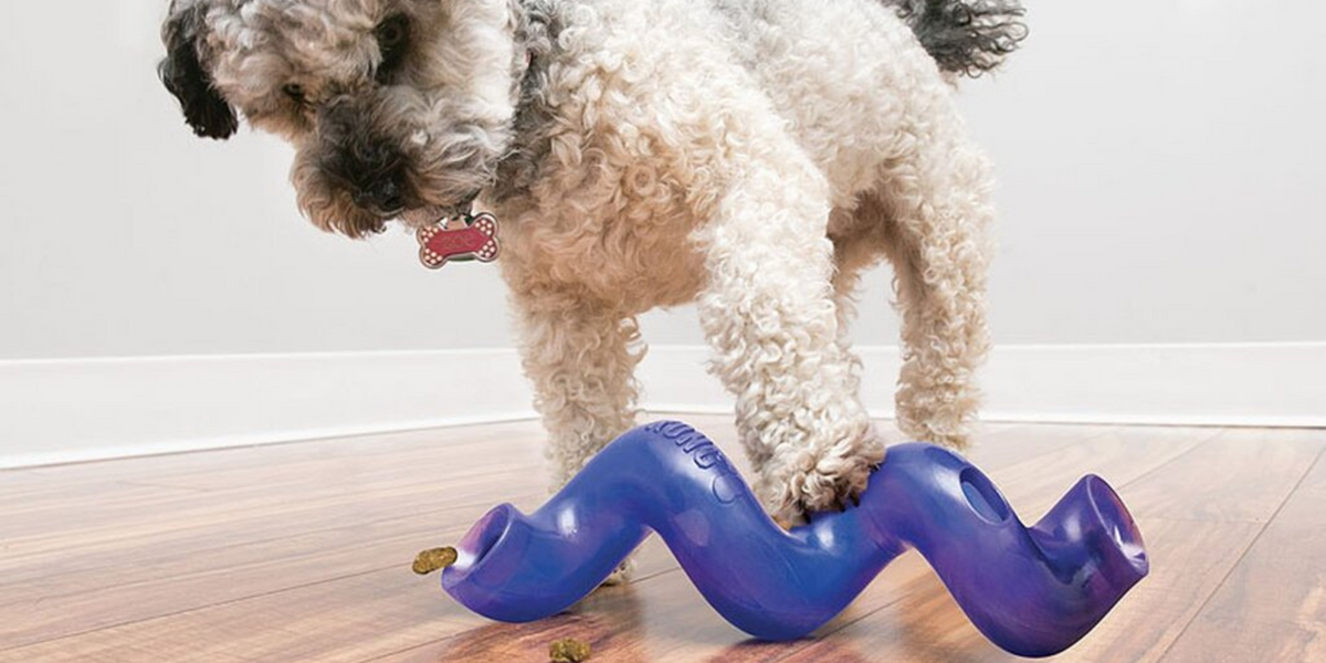 KONG – WOOFSTUFF - SHOP FOR DOGS