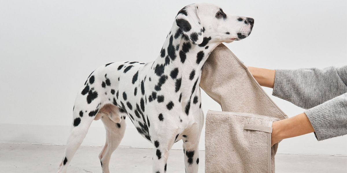 Hundehandtücher & FOR DOGS - – SHOP Fussmatten Hundehaushalte WOOFSTUFF für