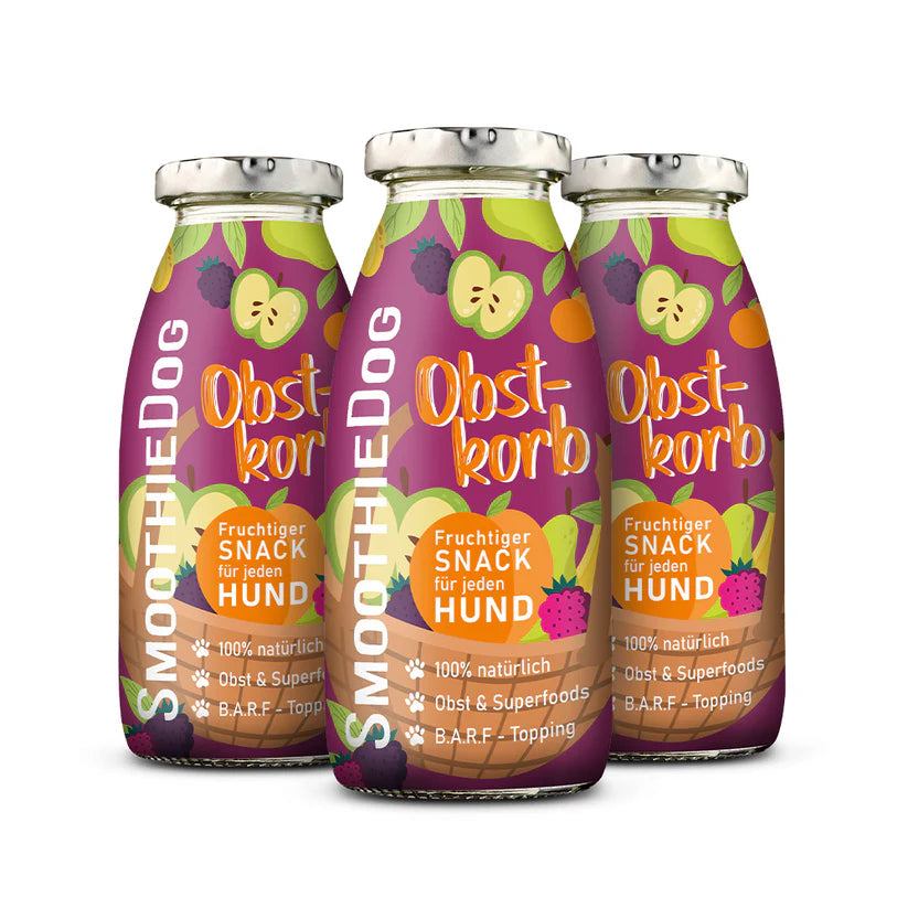 Hundesmoothie Obstkorb