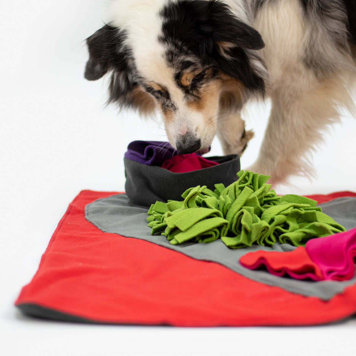 Knauders-Best-Sniffpad-Heart-Hund