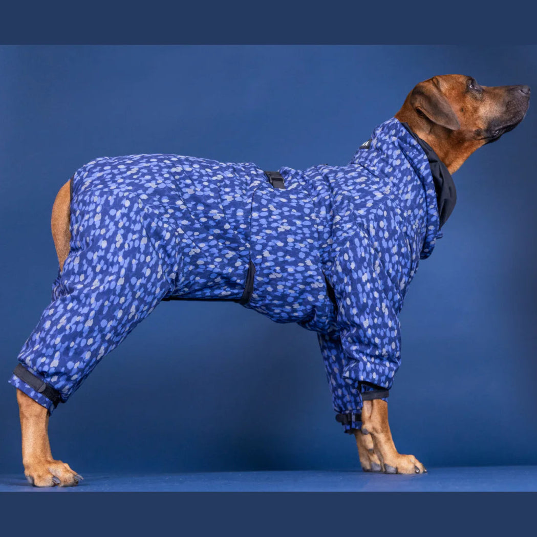 Winter Overall Blue