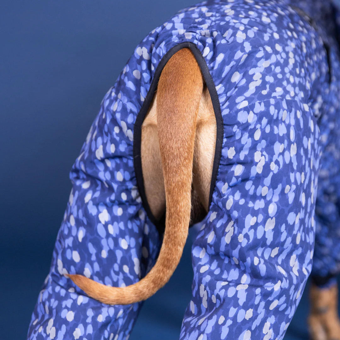 Winter Overall Blue