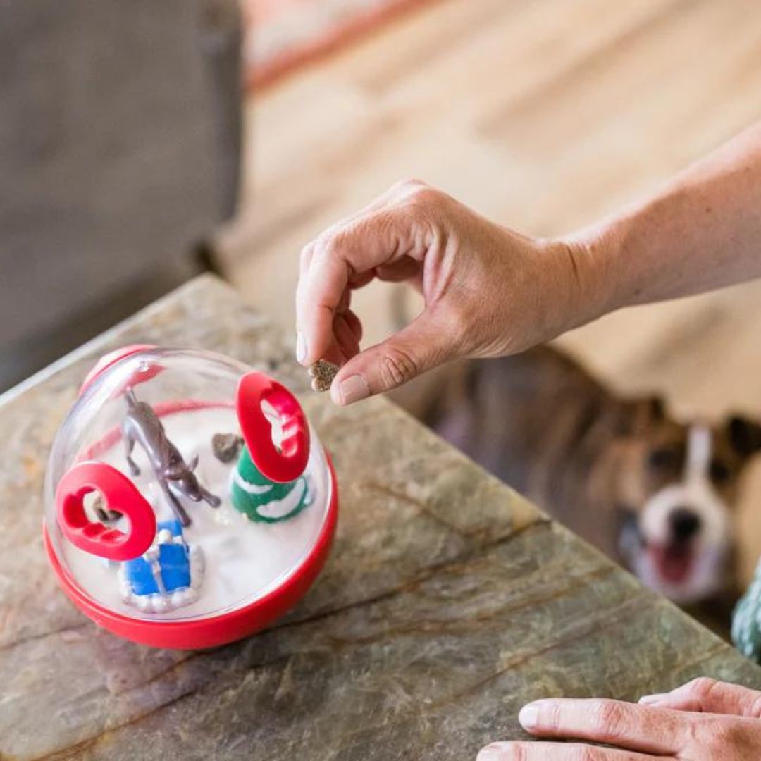PLAY-Hundespielzeug-Wobble-Ball-Weihnachten-Rot-Mood