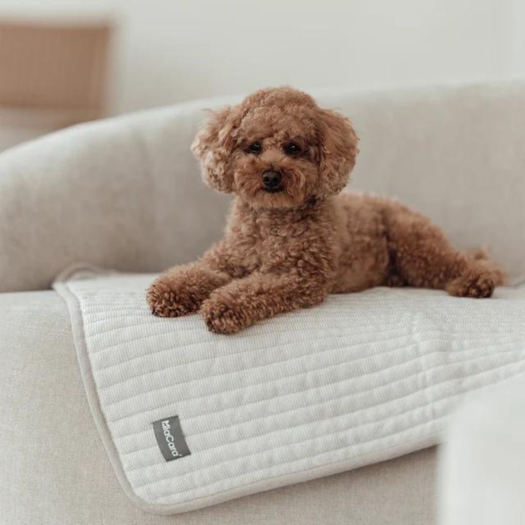 Onda Hundedecke Greige