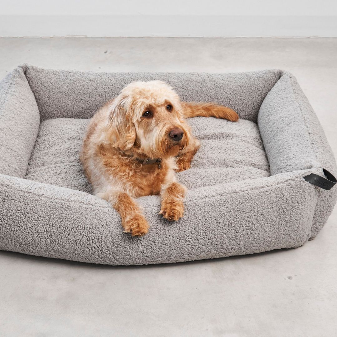 MiaCara-Senso-Hundebett-Box-Bett-Kiesel-Hund