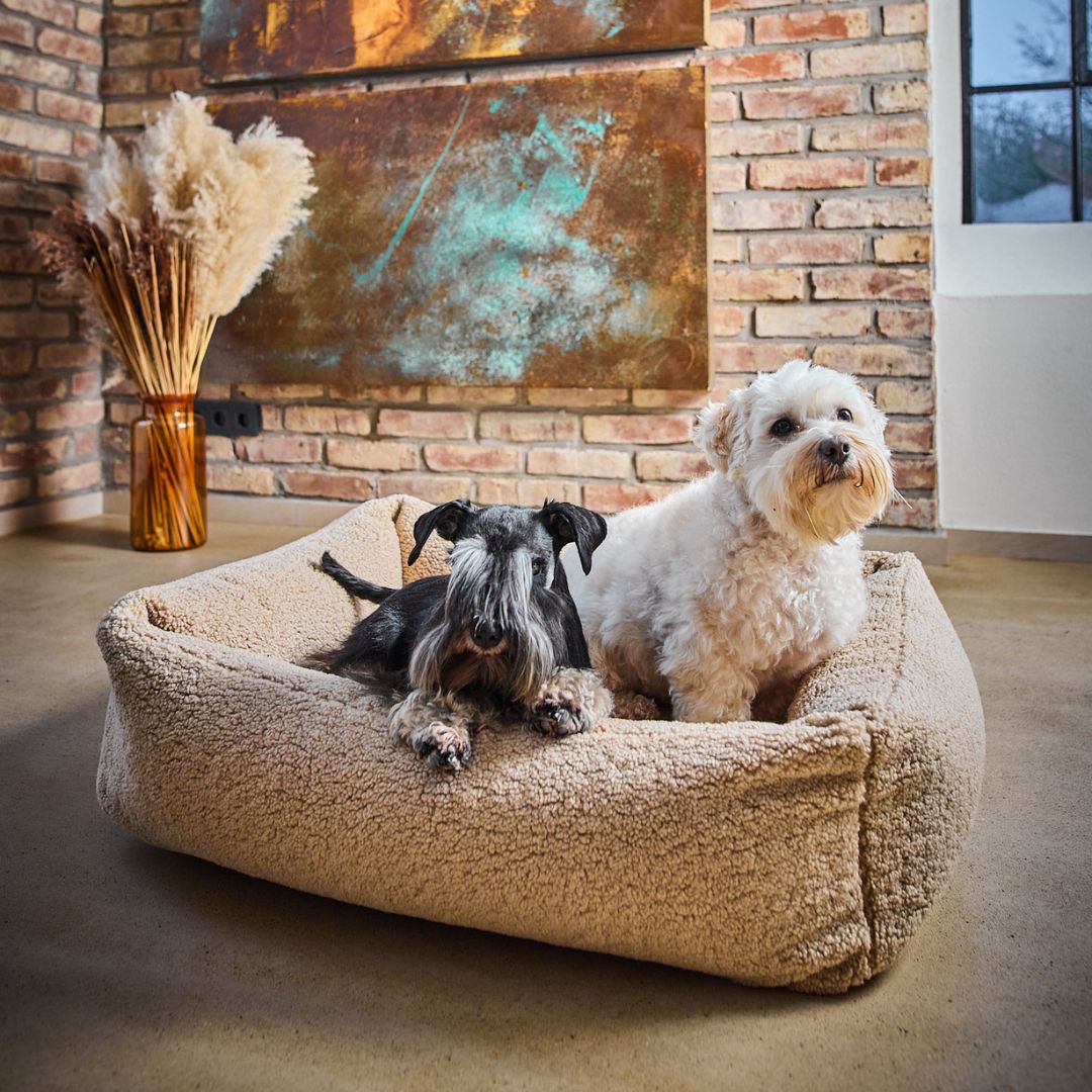 Hundebett Teddy Bouclé Ortho oder Classic Creme