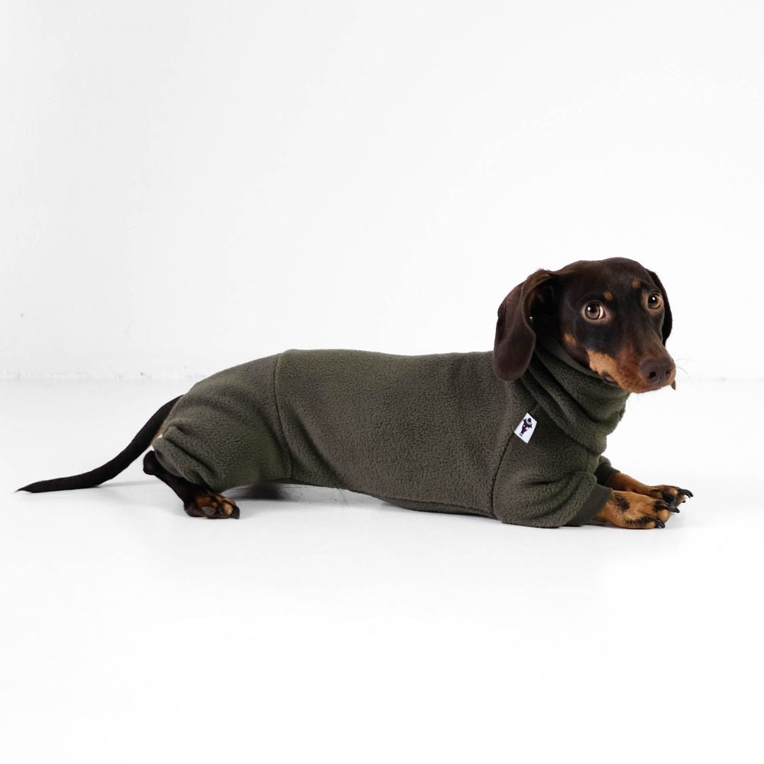 Karma-Hund-Hundepullover-Polar-Fleece-Overall-Dackel-Olive-liegend