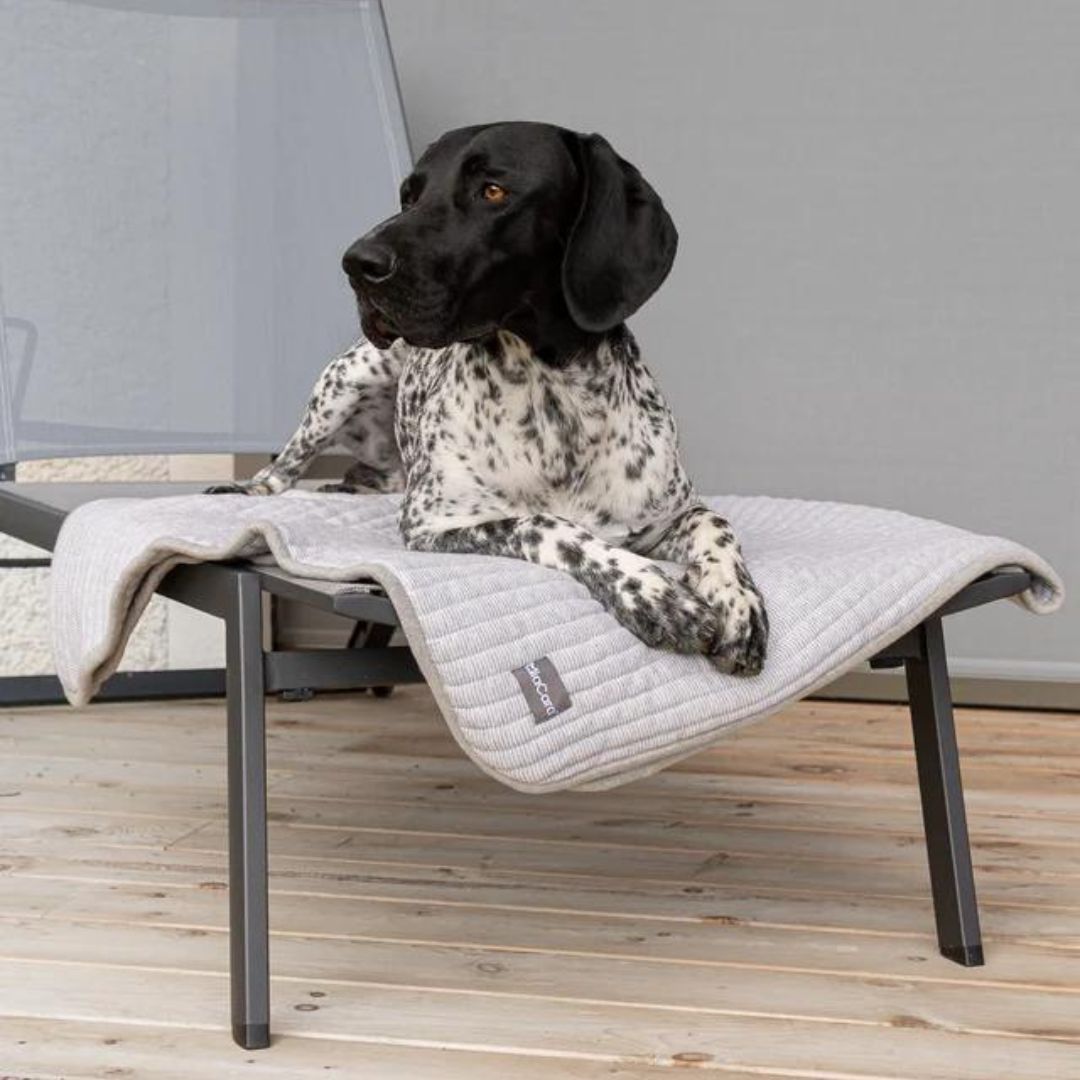 Onda Hundedecke Kiesel