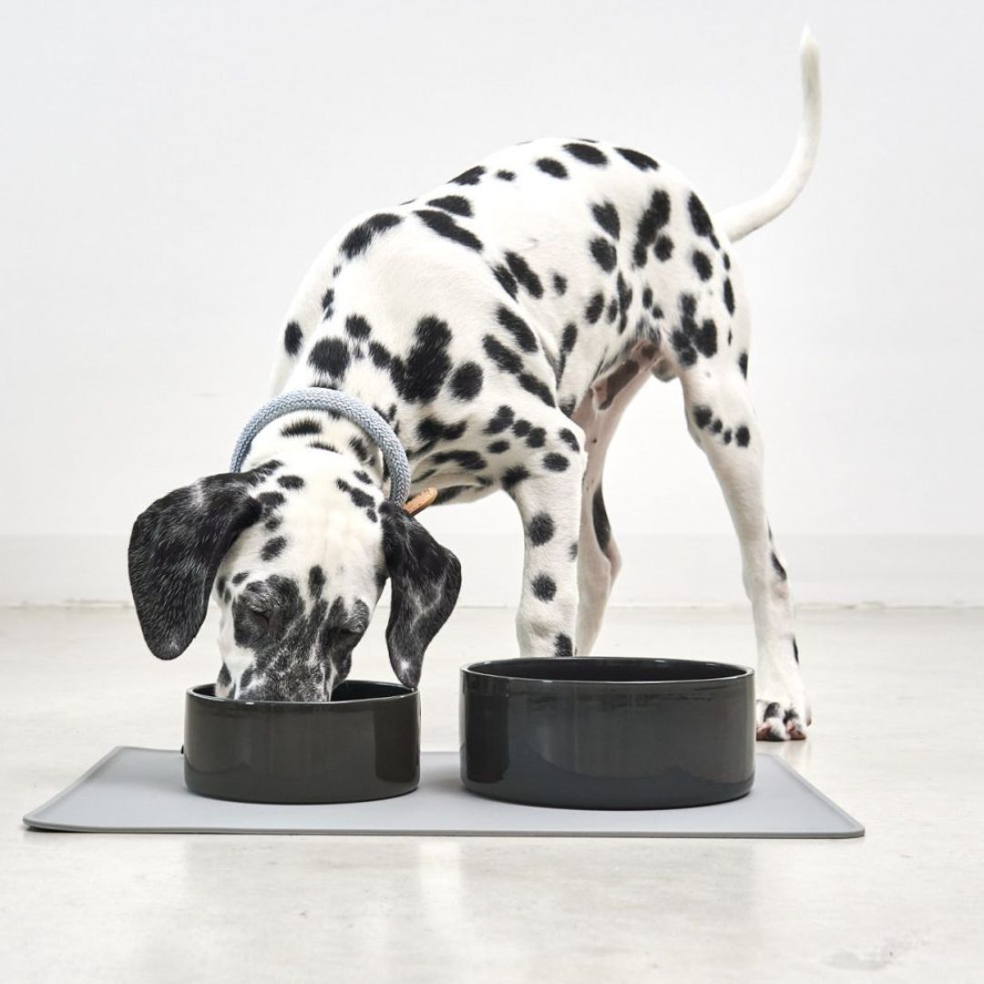 MiaCara-Hundenapf-Scodella-Graphit-Hund
