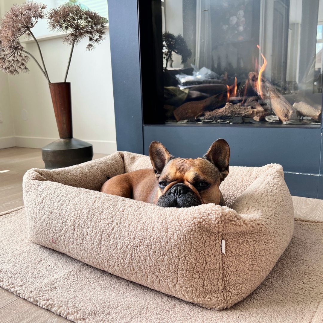 Hundebett Teddy Bouclé Ortho oder Classic Creme