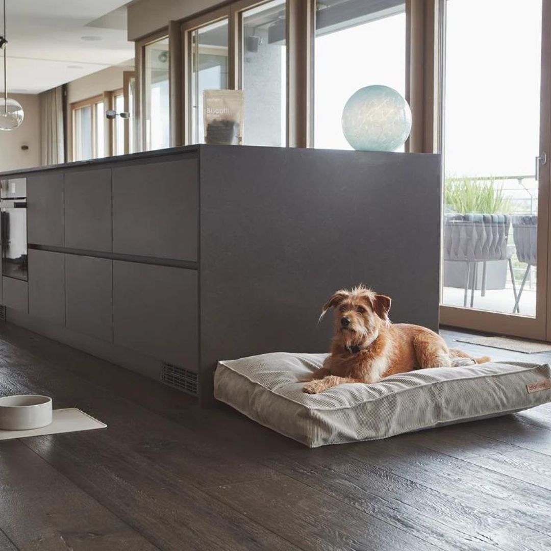 MiaCara-Hundekissen-Cordo-Schiefer-Mood
