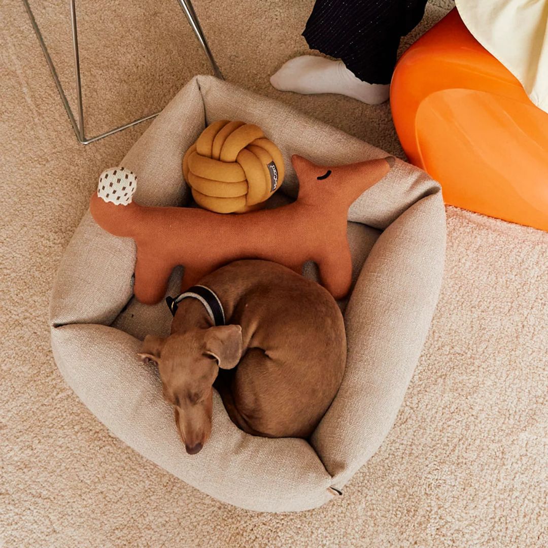 Campo Hundebett für kleine Hunde Greige
