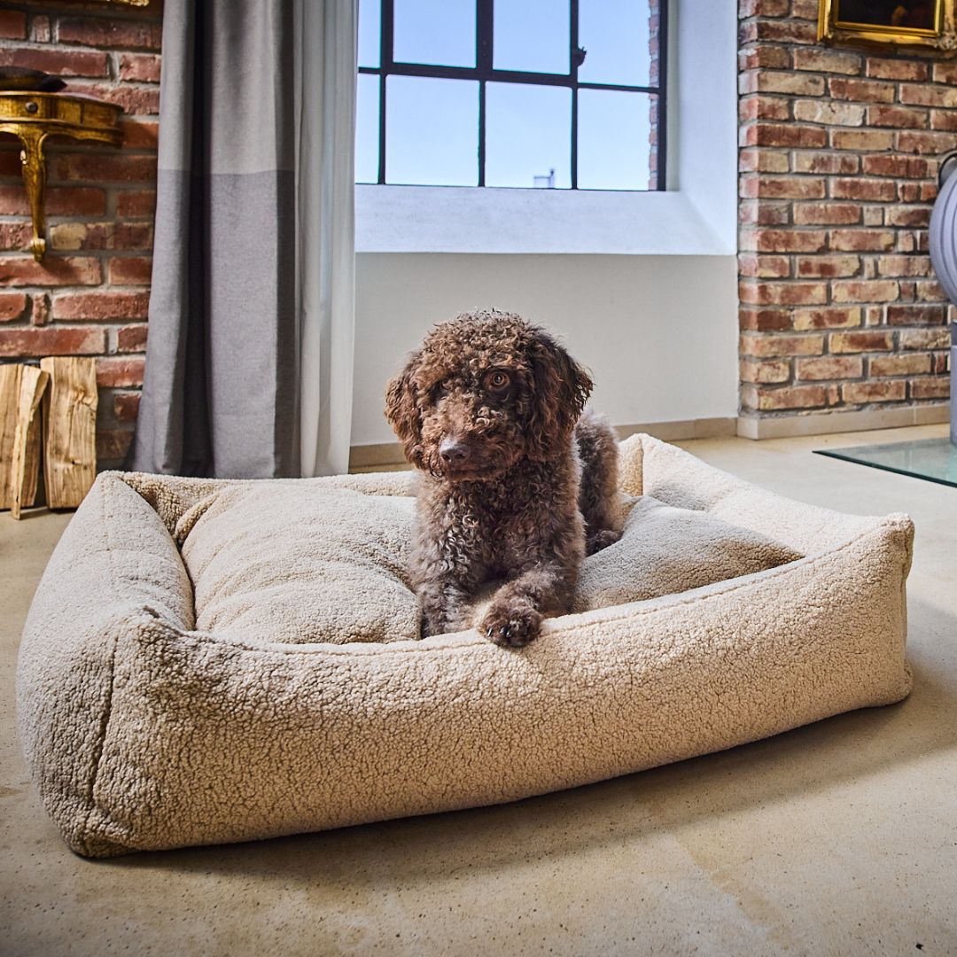 Hundebett Teddy Bouclé Ortho oder Classic Creme