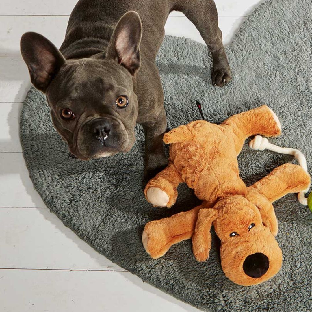 Wolters-Plüschhund-beige-Mood
