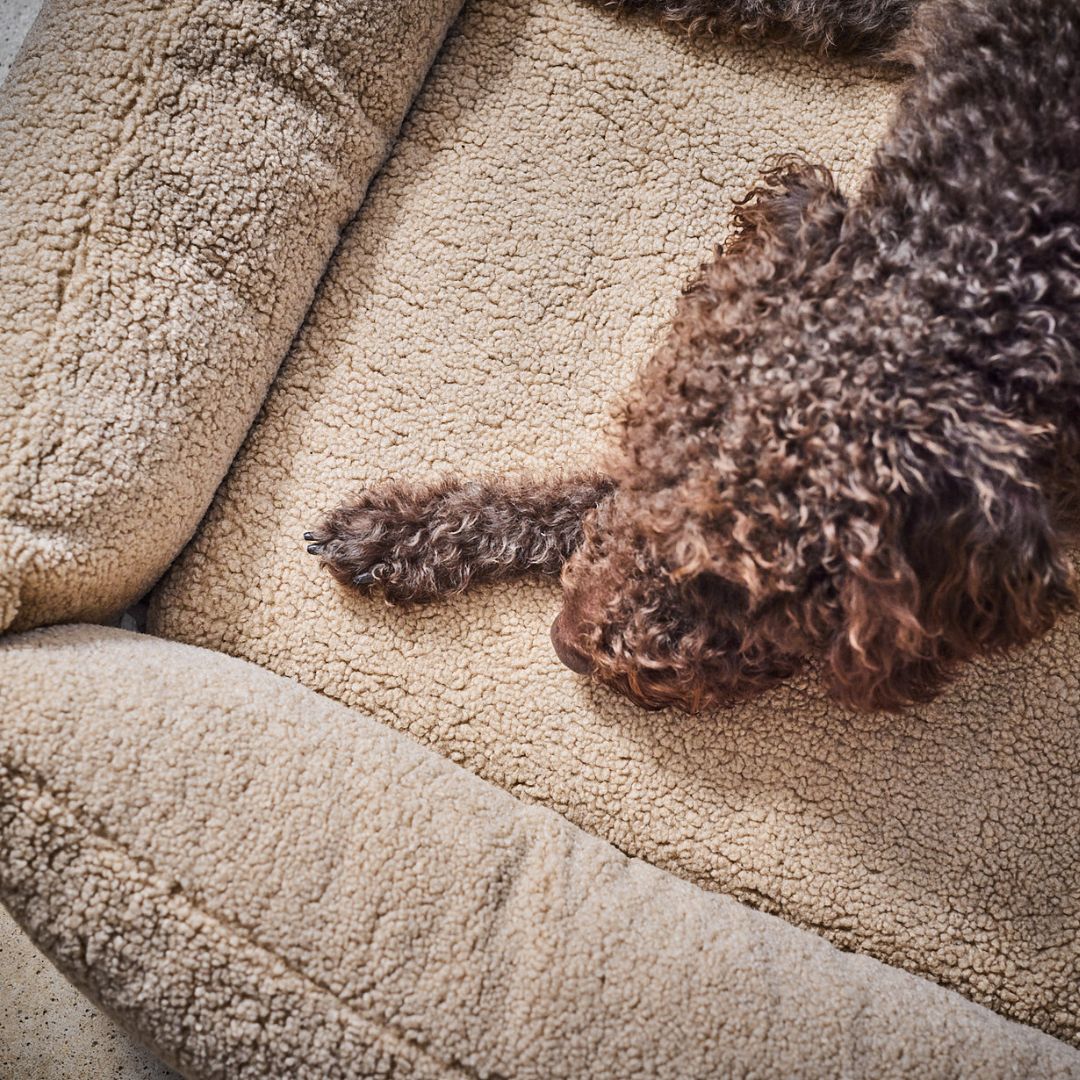 Hundebett Teddy Bouclé Ortho oder Classic Creme