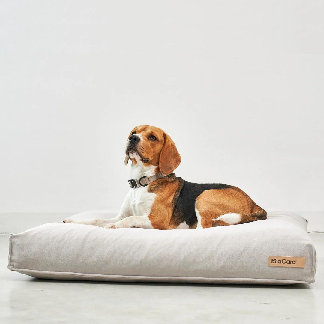 MiaCara-Hundekissen-Comodo-Greige-Hund