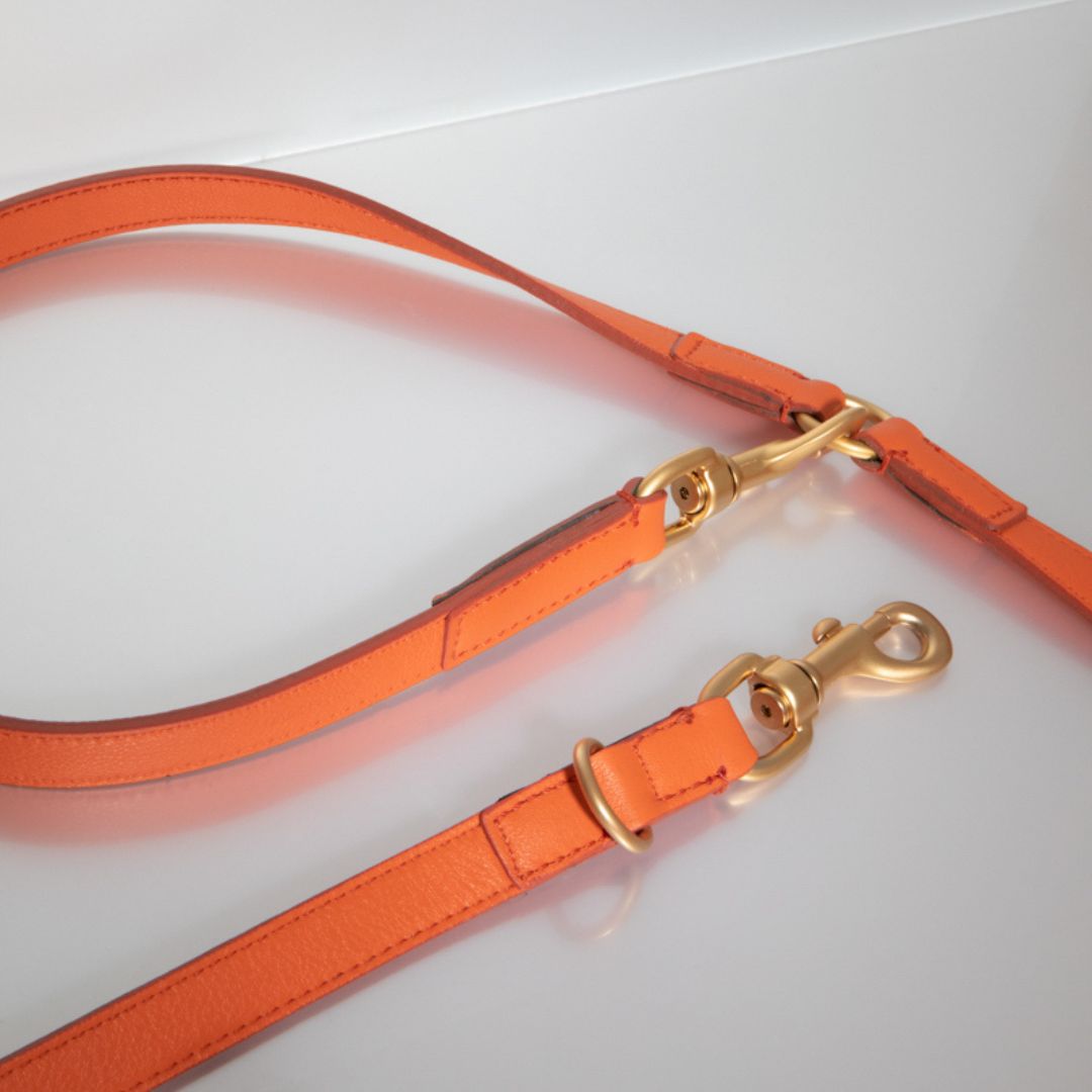 2.8-Hundeleine-Mario-Führleine-tangerine-Detail