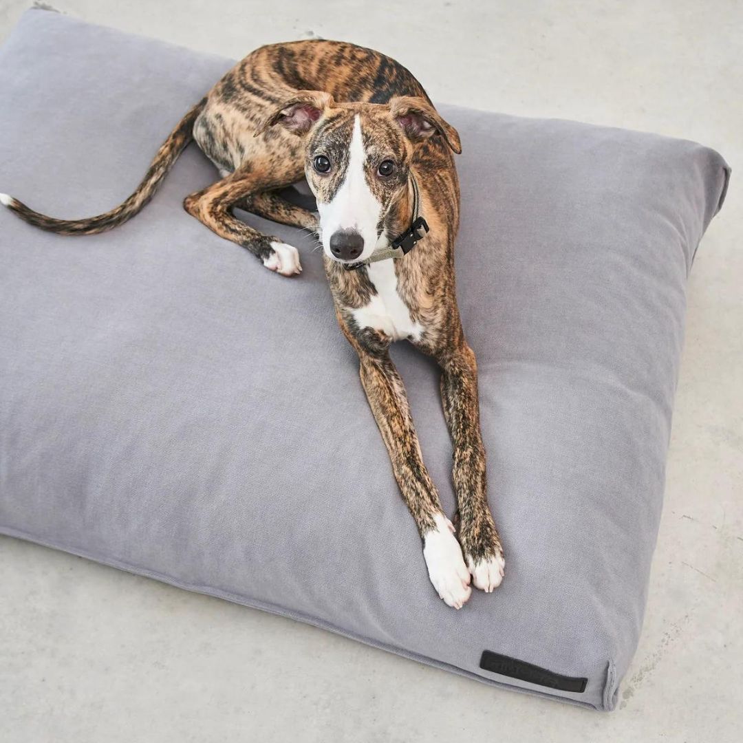 MiaCara-Hundekissen-Comodo-Schiefer-Hund