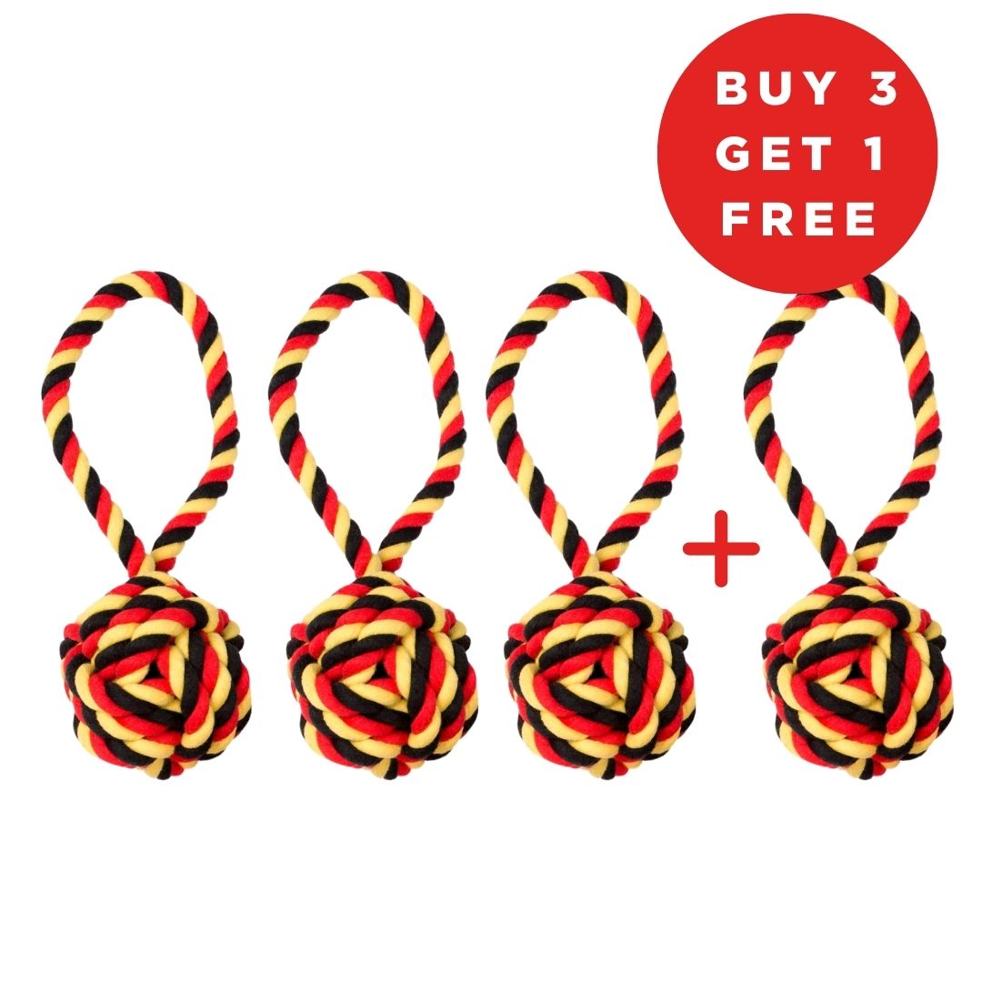 Ball mit Loop Set Größe - 3+1 gratis