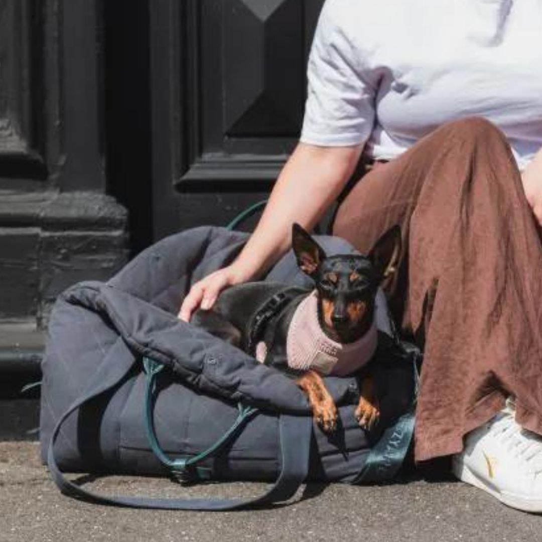 Autositz & Hundetasche Slate Grey