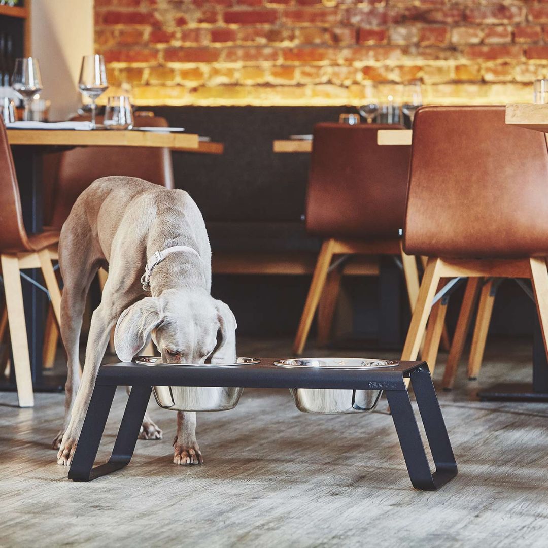 MiaCara-Desco-Napfständer-Alu-Schwarz-Edelstahlnäpfe-L-Hund