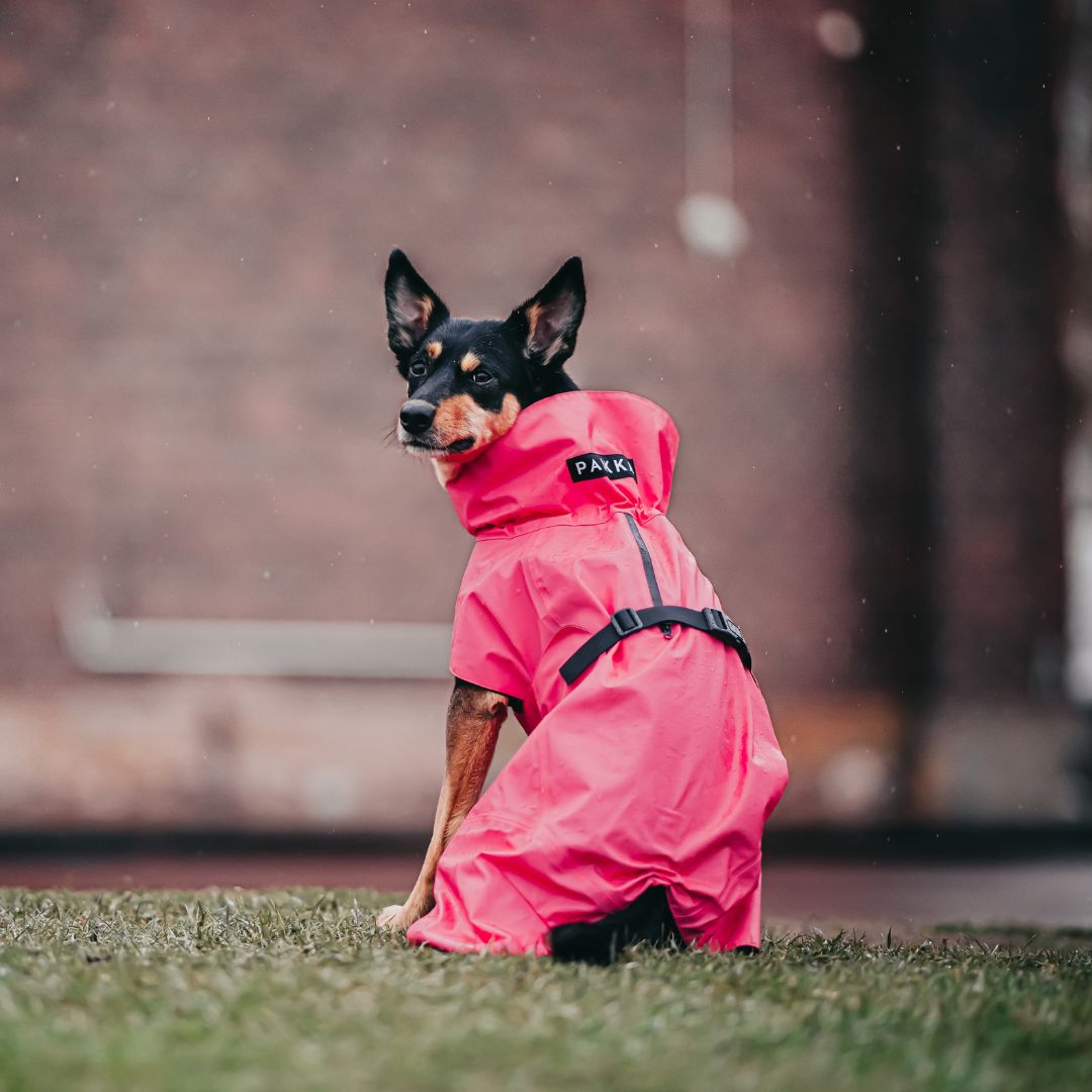 Vollreflektierender Hunderegenmantel Lite Hot Pink