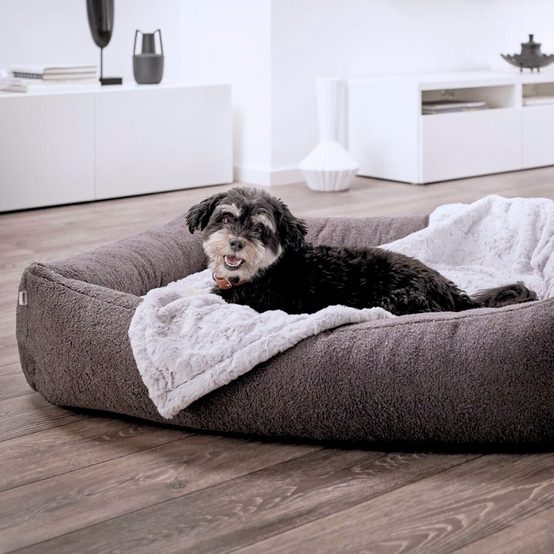 Laboni-Hundebett-Teddy-Boucle-Wolle-Grey