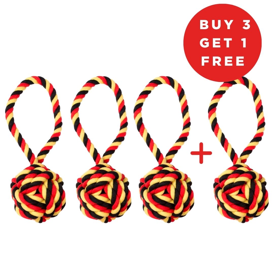 Ball mit Loop Set Größe - 3+1 gratis