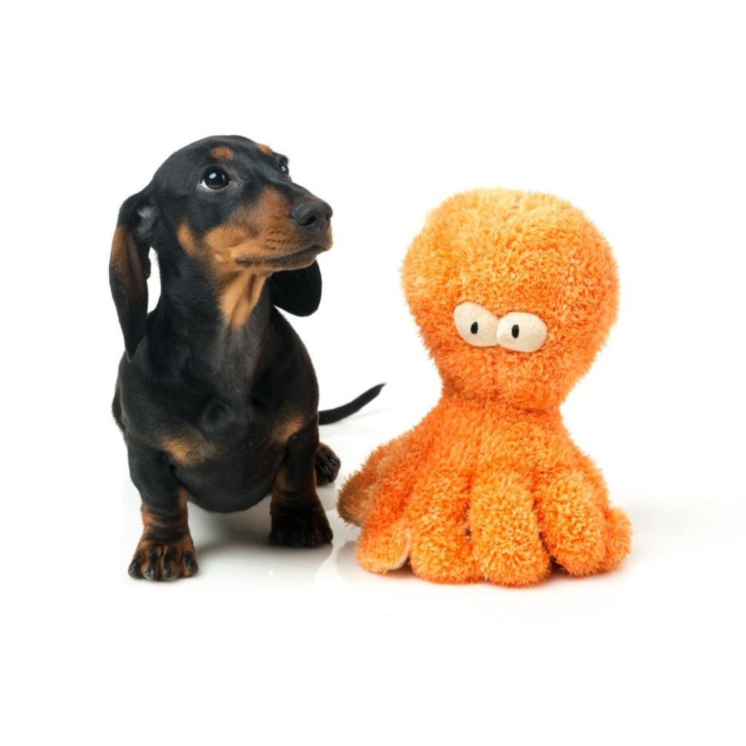 Fuzzyard-Hundespielzeug-Sir-Legs-A-Lot-Dackel2
