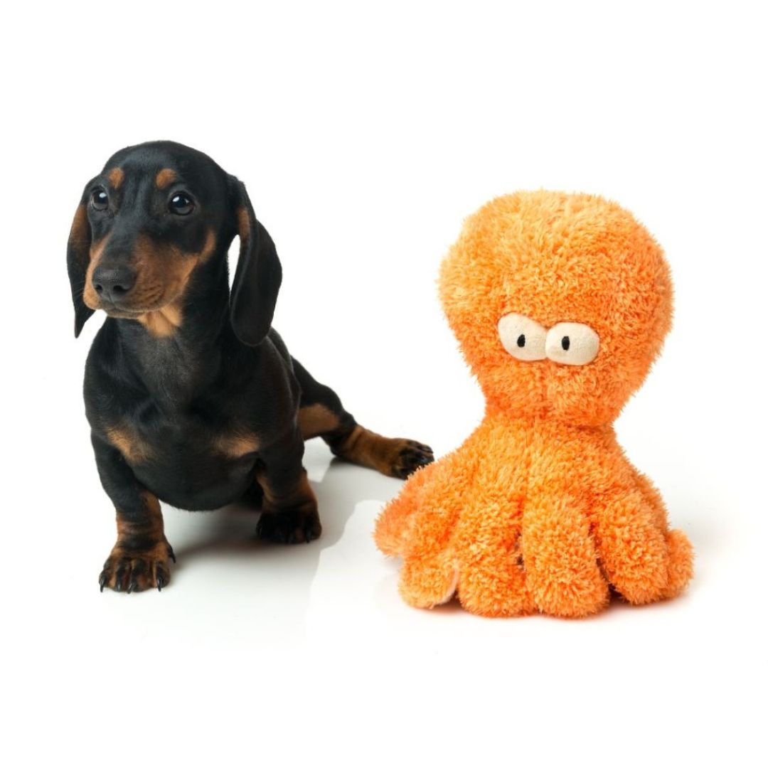 Fuzzyard-Hundespielzeug-Sir-Legs-A-Lot-Dackel