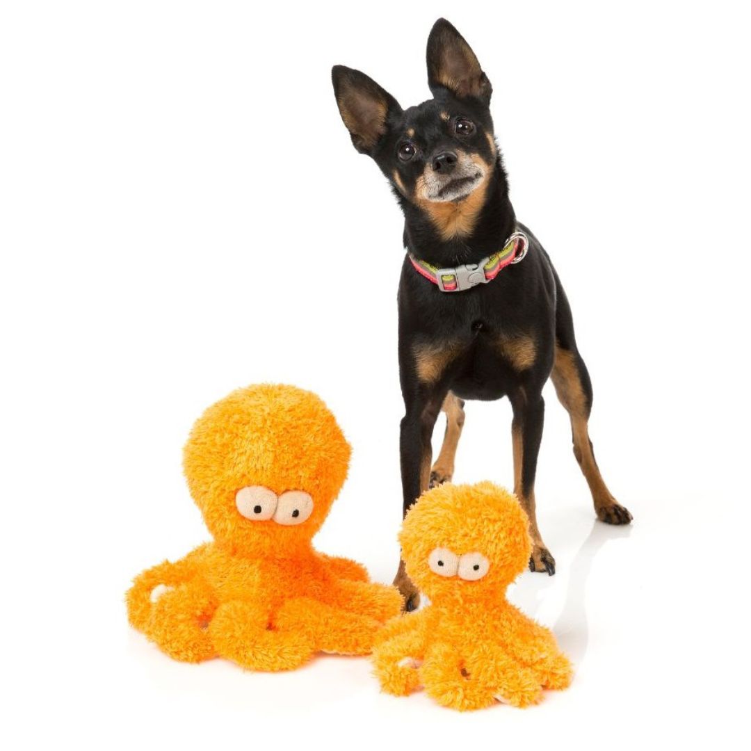 Fuzzyard-Hundespielzeug-Sir-Legs-A-Lot-Hund