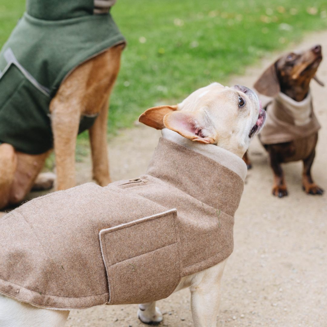 Hundemantel Brooklyn FR. BULLDOGGE Flanell Hazel