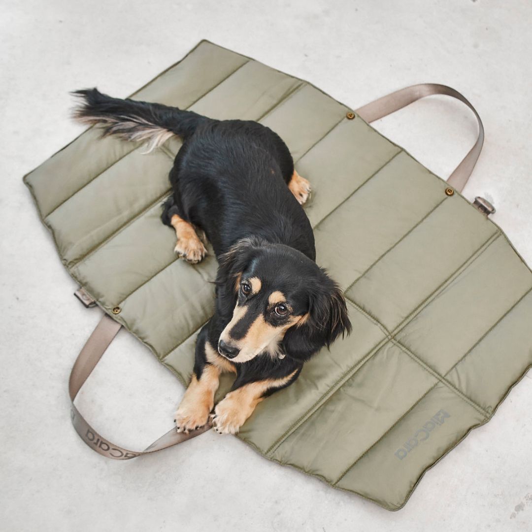 MiaCara-Hundereisebett-Strada-Grolive-Hund3
