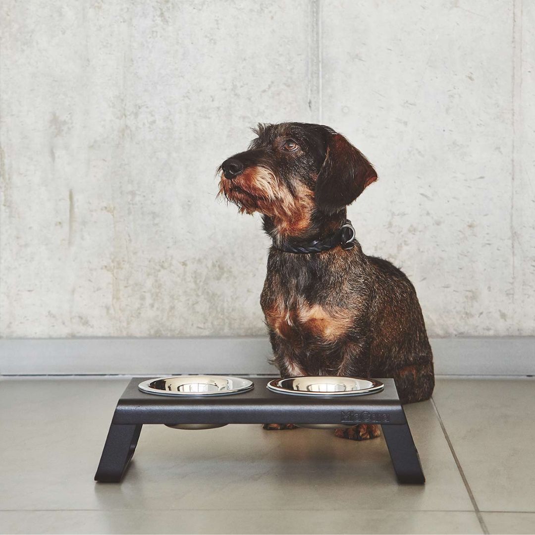 MiaCara-Desco-Napfständer-Alu-Schwarz-Edelstahlnäpfe-S-Hund