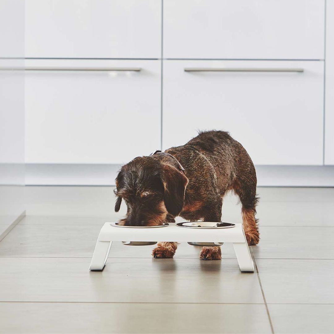 MiaCara-Desco-Napfständer-Alu-weiß-Edelstahlnäpfe-S-Hund