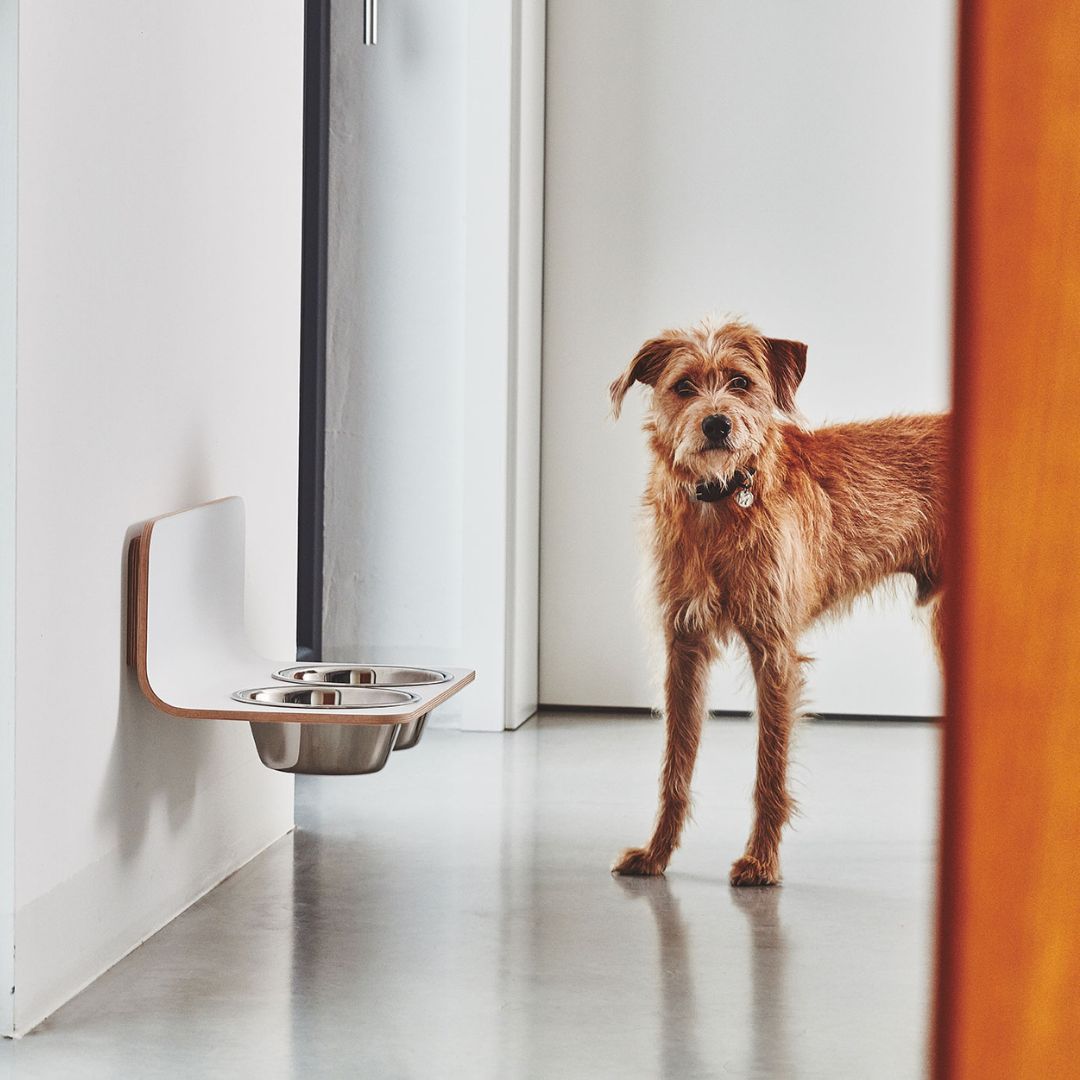 MiaCara-Arco-Napfhalter-Weiß-Edelstahlnäpfe-ML-Hund2