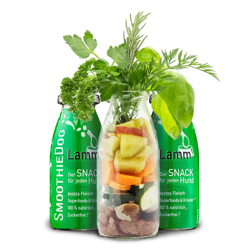 Hundesmoothie Lamm
