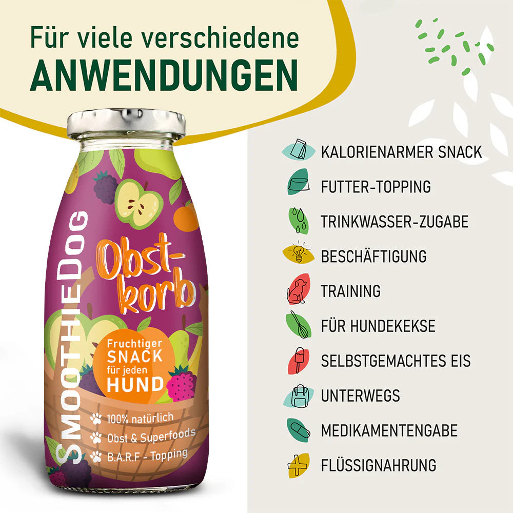 Hundesmoothie Obstkorb