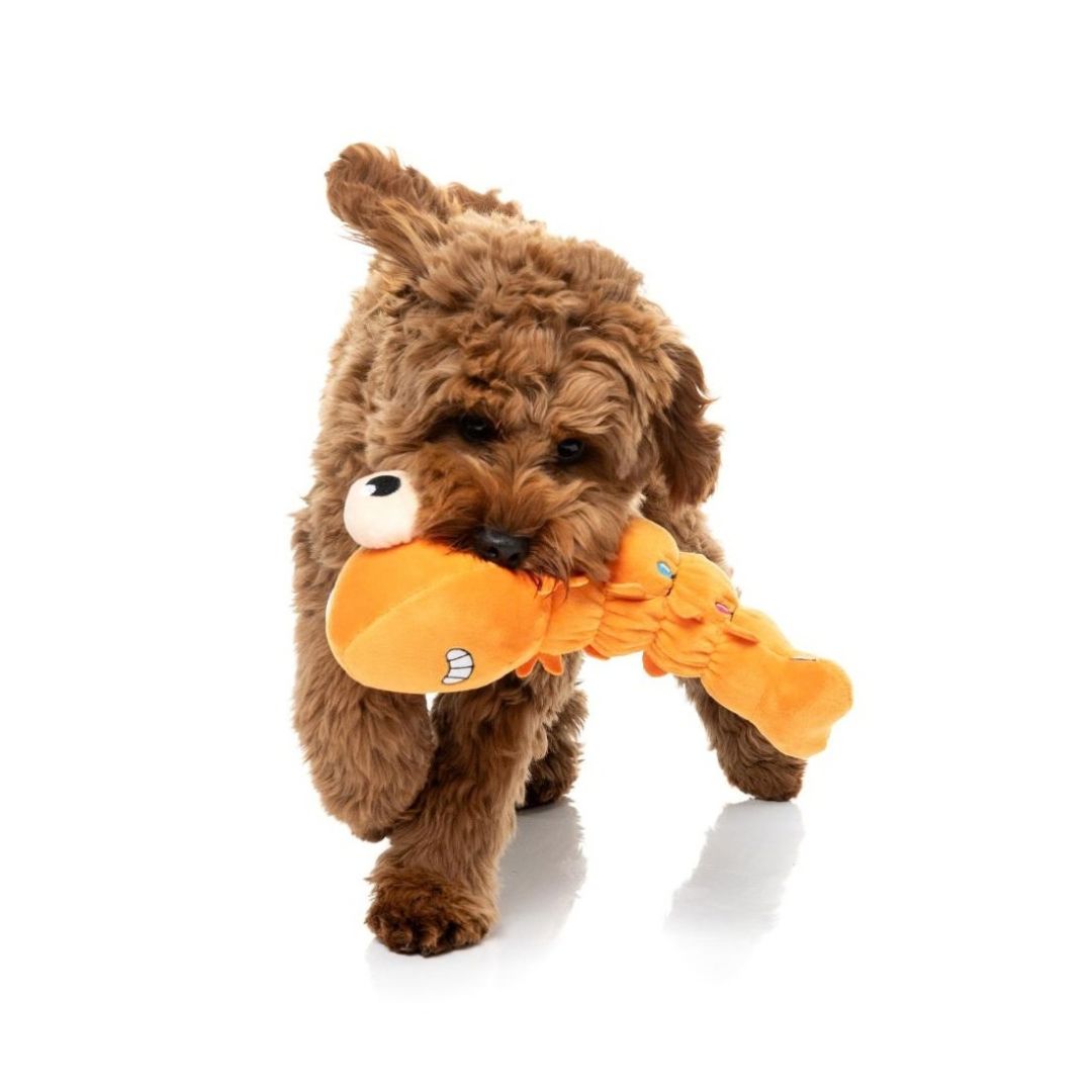 Hundespielzeug Shelvis Presley