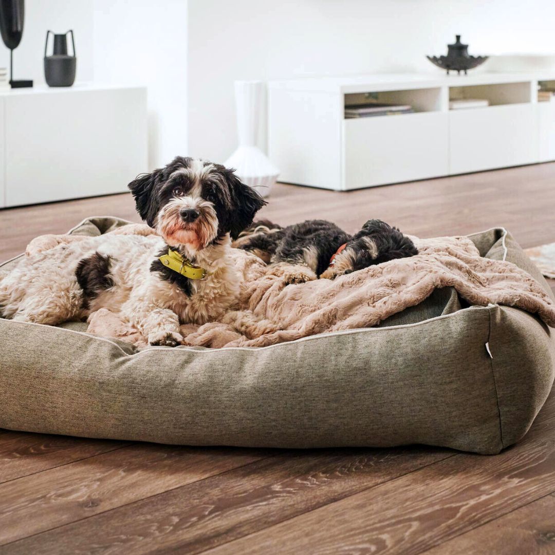 Hundebett - Uno - Laboni - Green – WOOFSTUFF - SHOP FOR DOGS